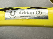 Adrian Mannarino Personal Babolat Aeropro Drive (16X19)