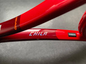 Marin Cilic Personal Head TGT312.2