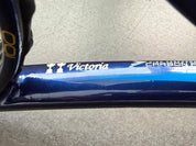 Victoria Azarenka Personal Wilson H25 (18X19)
