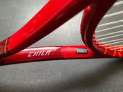 Marin Cilic Personal Head TGT312.2