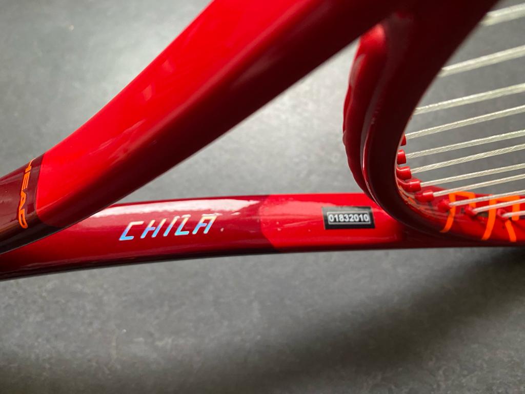 Marin Cilic Personal Head TGT312.2